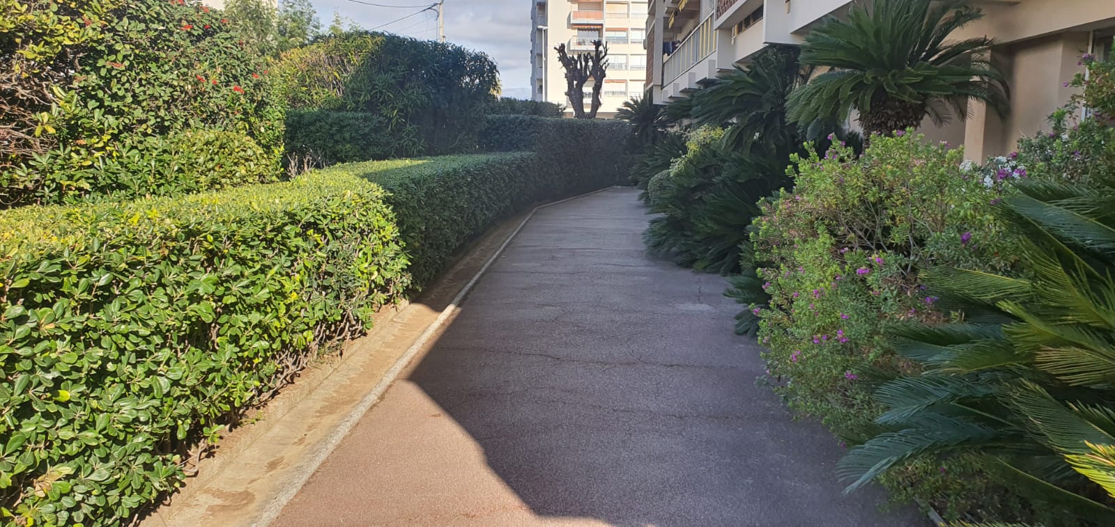 Entretien jardin 2024