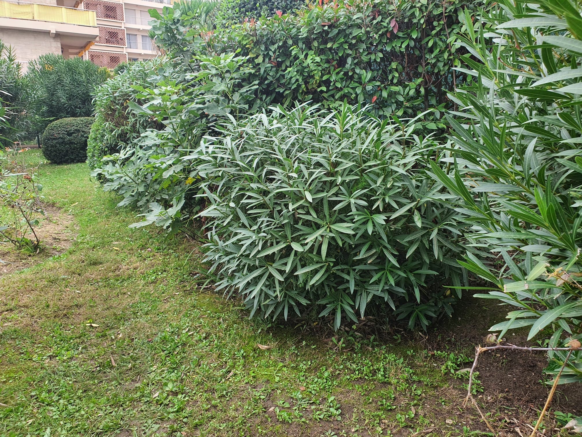 Jardin Côte d'Azur