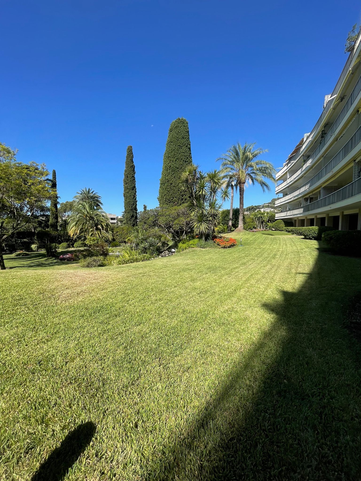 Entretien de jardin