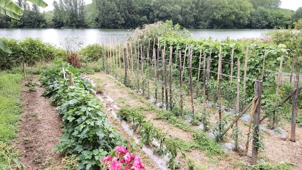 Éco-pâturage - entretien naturel