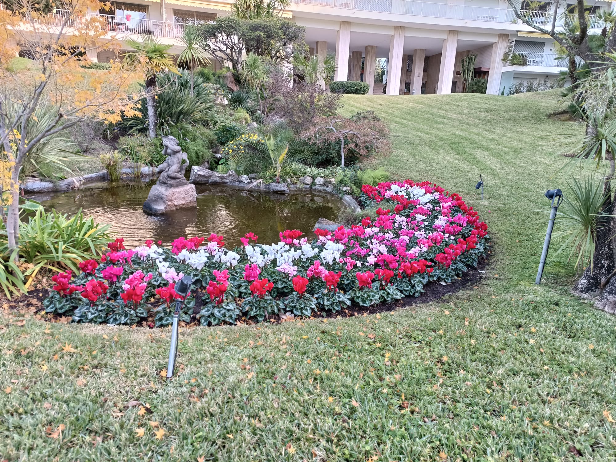 Plantation et aménagement
