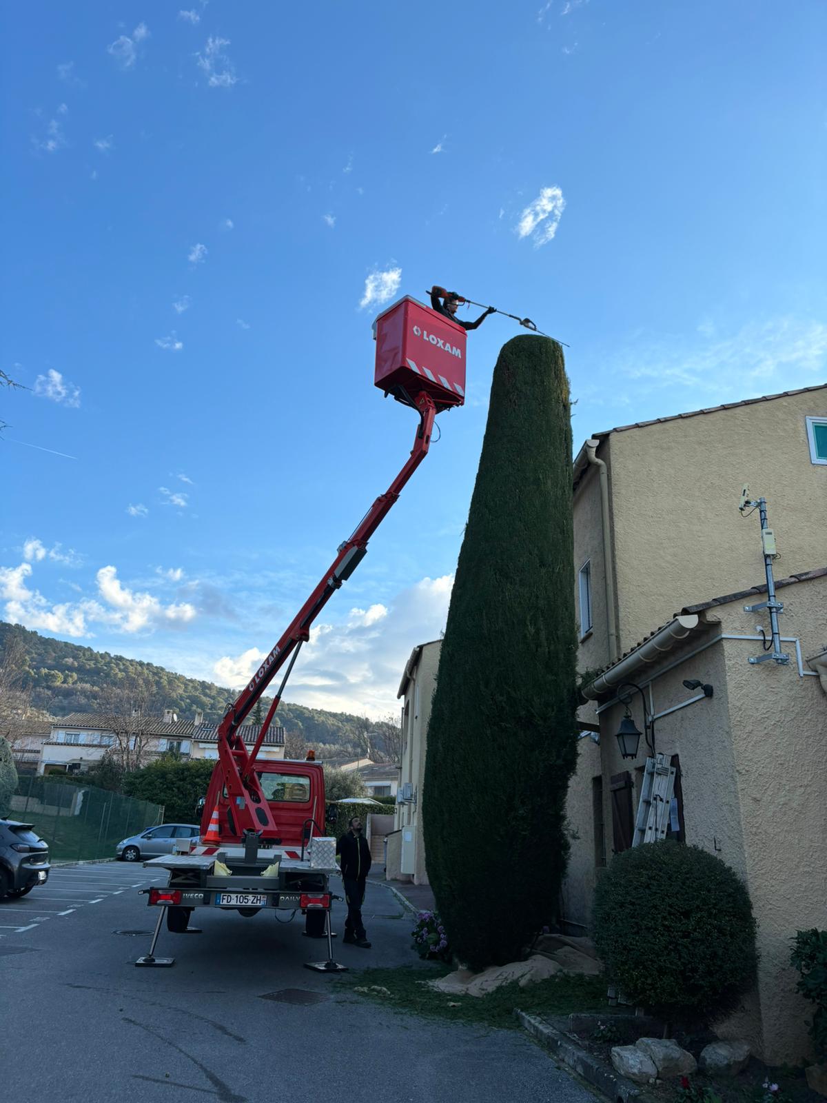 Réalisation paysagère