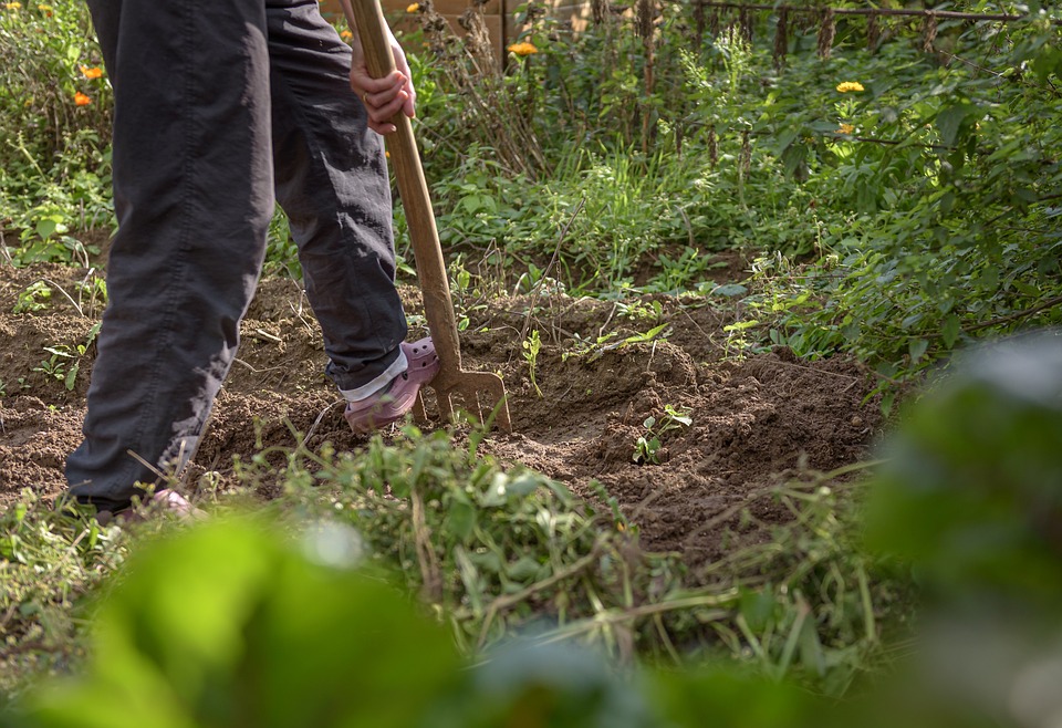 Actions jardinage hiver